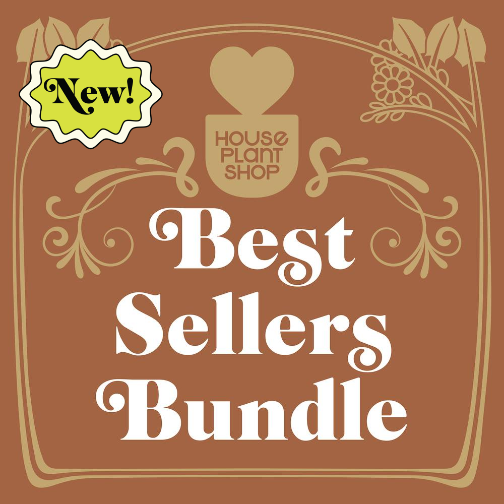 Assorted Tropical Houseplant Bundle – 4 Live Indoor Plants